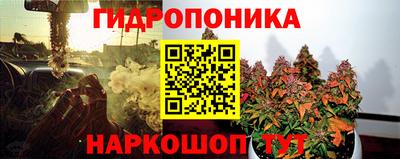 ECSTASY Нальчик
